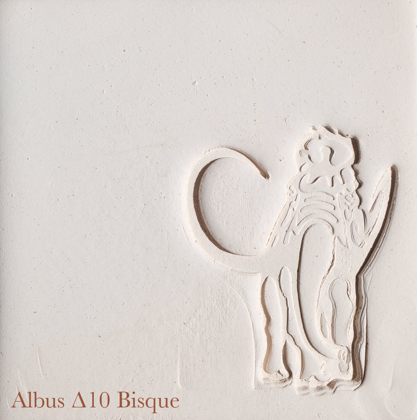 Albus Stone