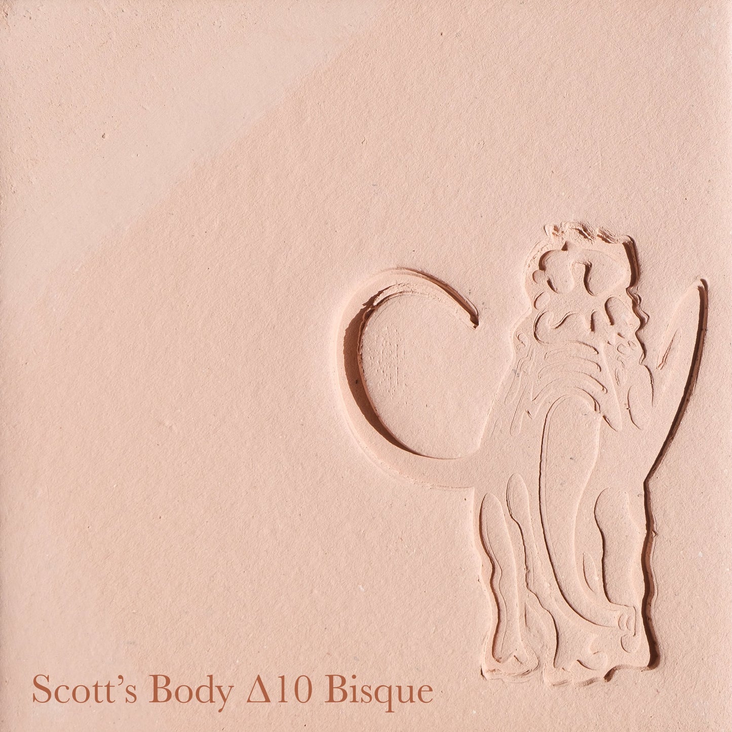 L&R Scott's Body