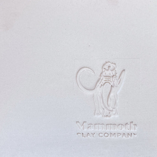 L&R Translucent Porcelain ^10